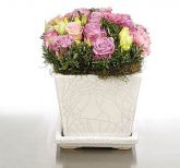 New Zealand Flower Arrangements New Zealand,:Lilac & Pink SQ Pot